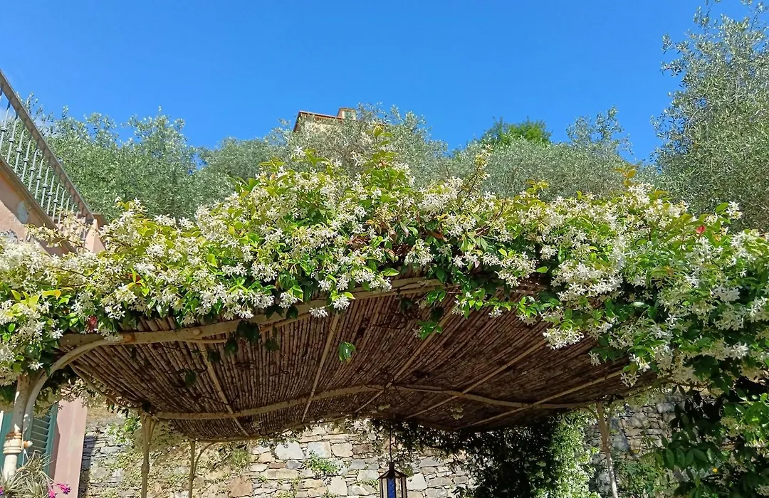 Villa Albachiara-1
